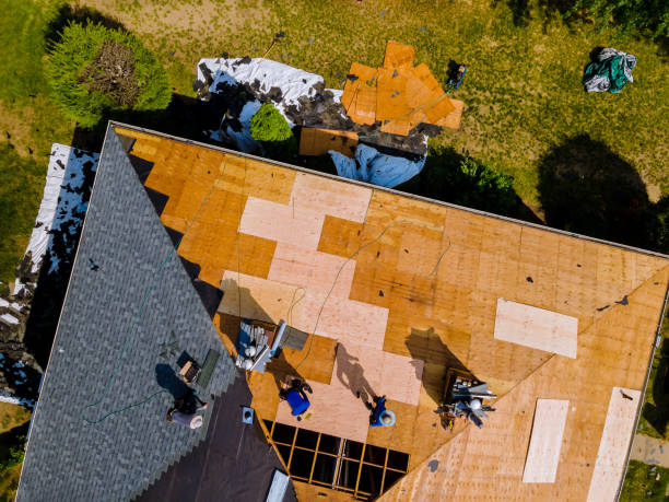 Best Storm Damage Roof Repair  in Doffing, TX
